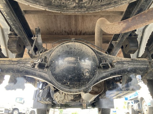 CANTER GUTS