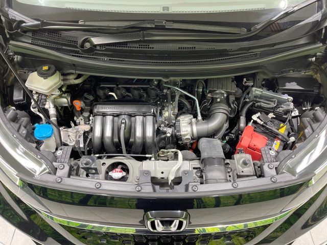 FREED plus HYBRID