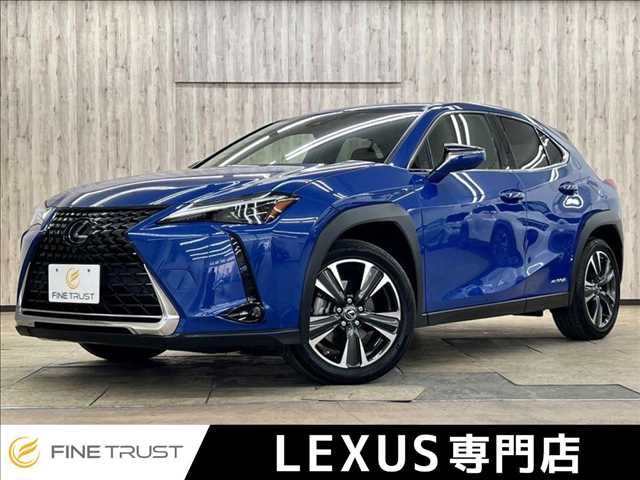 LEXUS UX250h AWD