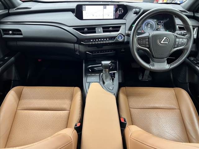 LEXUS UX250h AWD