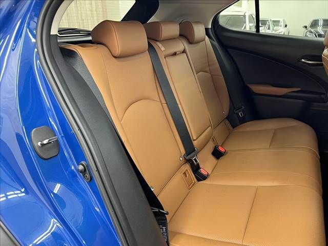 LEXUS UX250h AWD