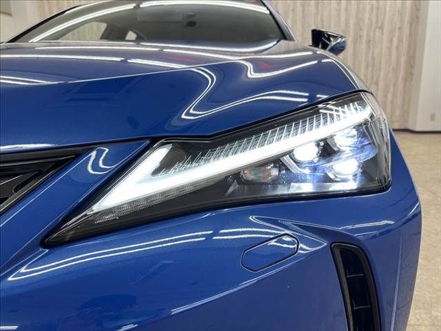 LEXUS UX250h AWD