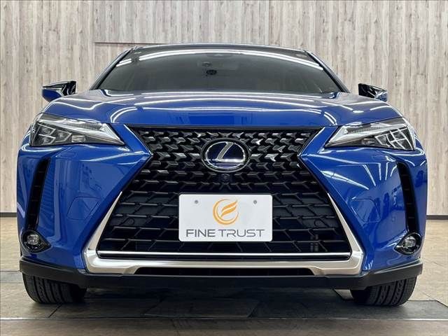 LEXUS UX250h AWD