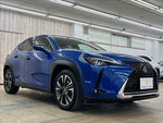 LEXUS UX250h AWD