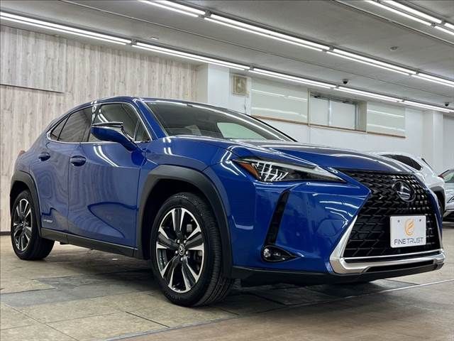 LEXUS UX250h AWD