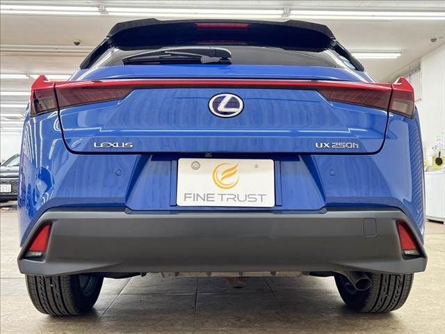 LEXUS UX250h AWD