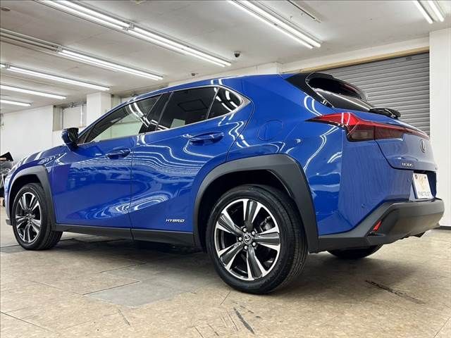 LEXUS UX250h AWD