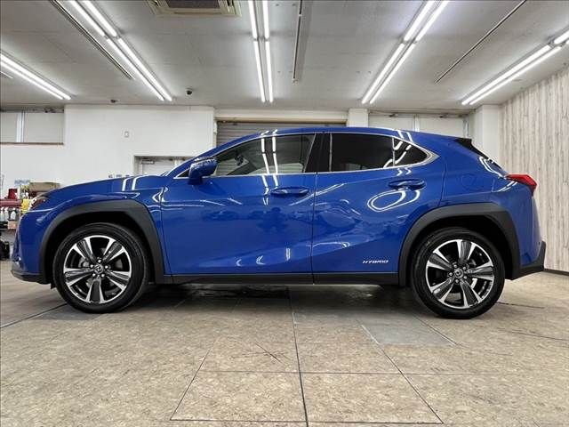 LEXUS UX250h AWD