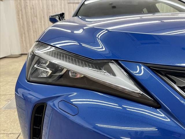 LEXUS UX250h AWD