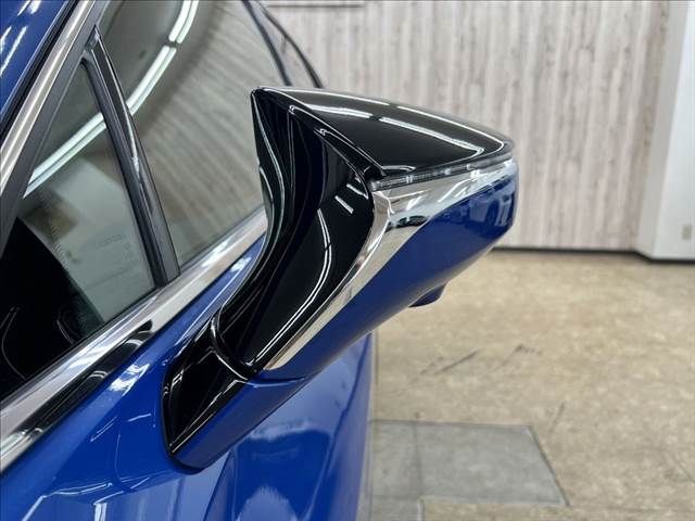 LEXUS UX250h AWD