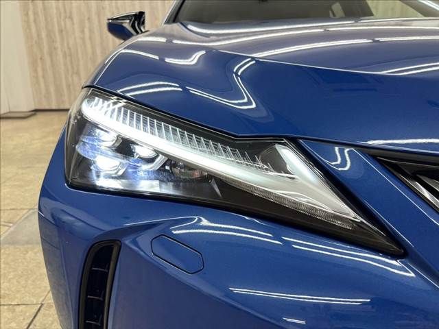 LEXUS UX250h AWD