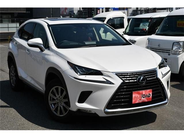 LEXUS NX300