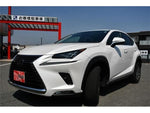 LEXUS NX300