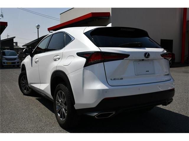LEXUS NX300