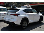 LEXUS NX300