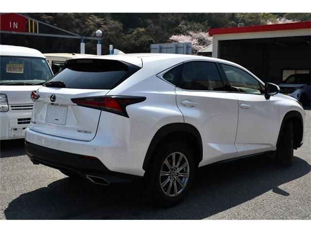 LEXUS NX300