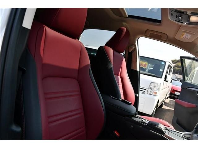 LEXUS NX300