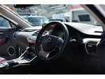 LEXUS NX300