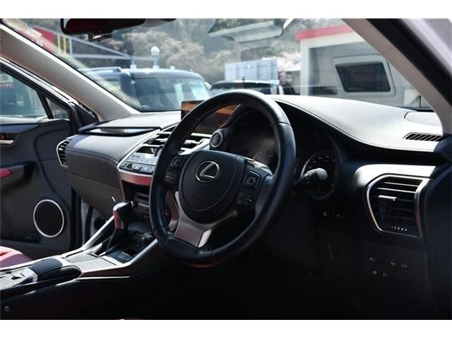 LEXUS NX300