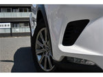 LEXUS NX300