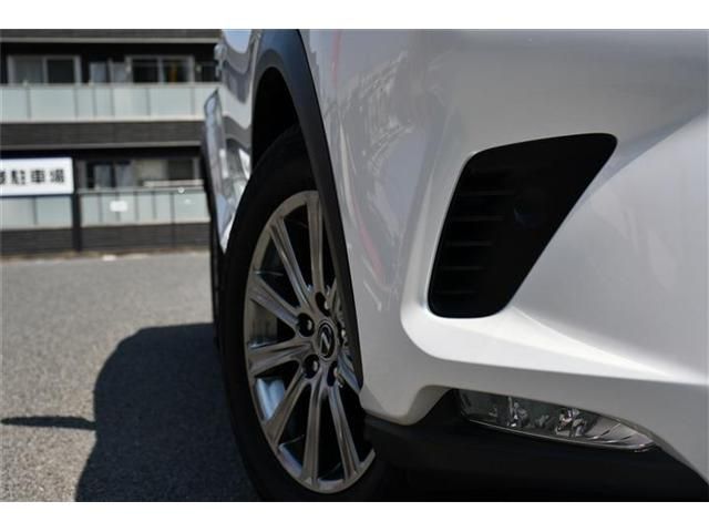 LEXUS NX300