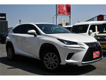 LEXUS NX300