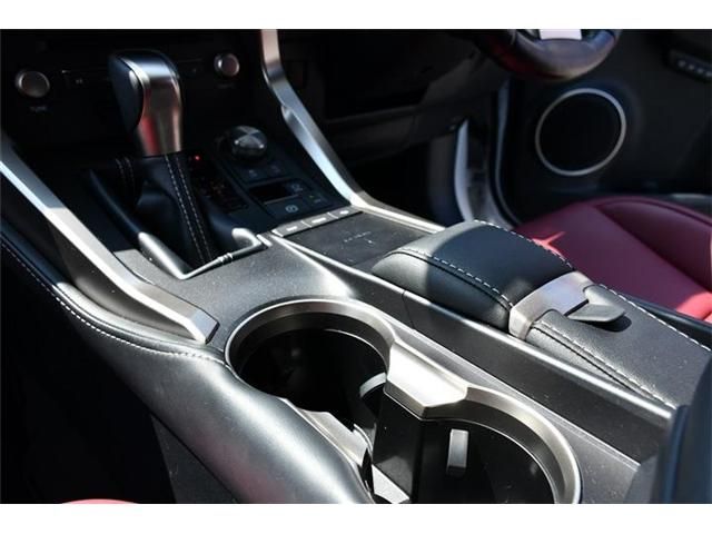 LEXUS NX300