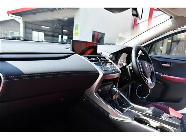 LEXUS NX300