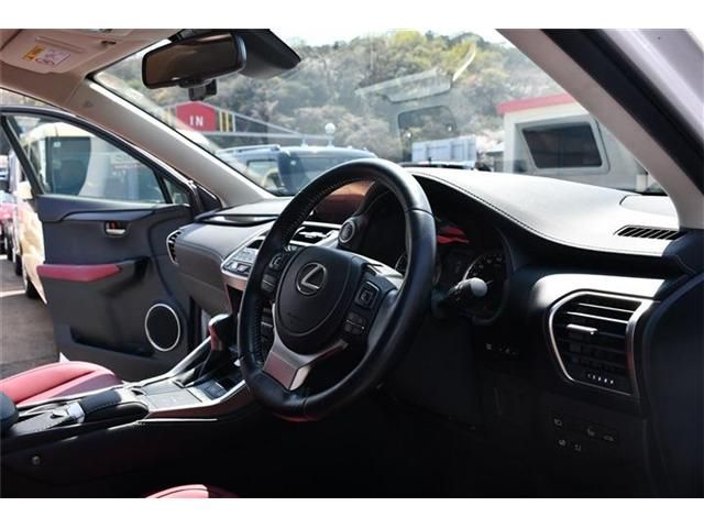 LEXUS NX300