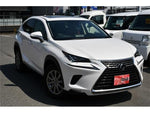 LEXUS NX300