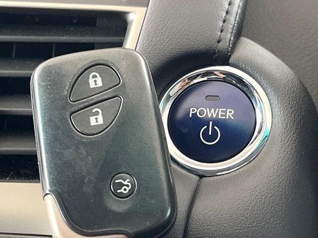 LEXUS HS250h