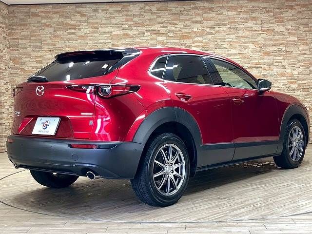 CX-30