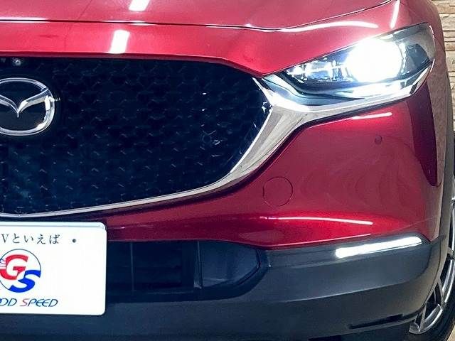 CX-30