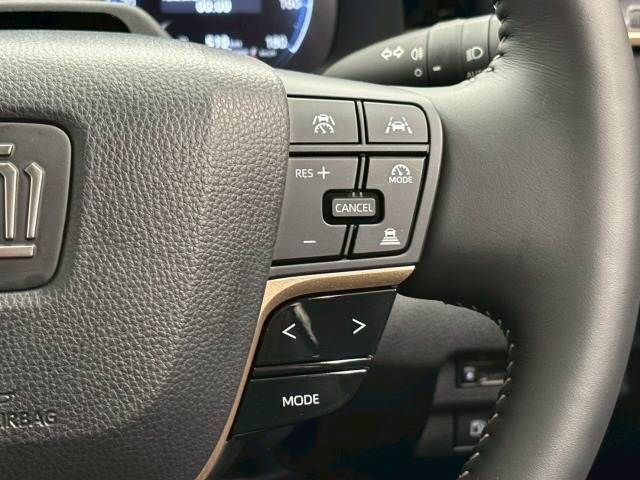 CROWN SPORT