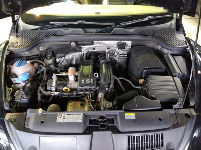 VOLKSWAGEN The BEETLE open