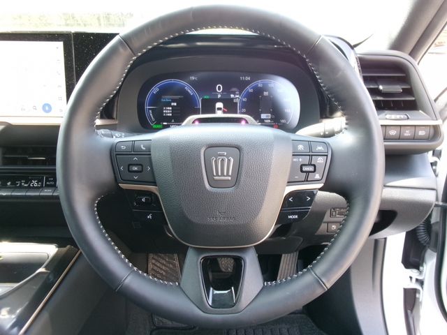 CROWN SPORT