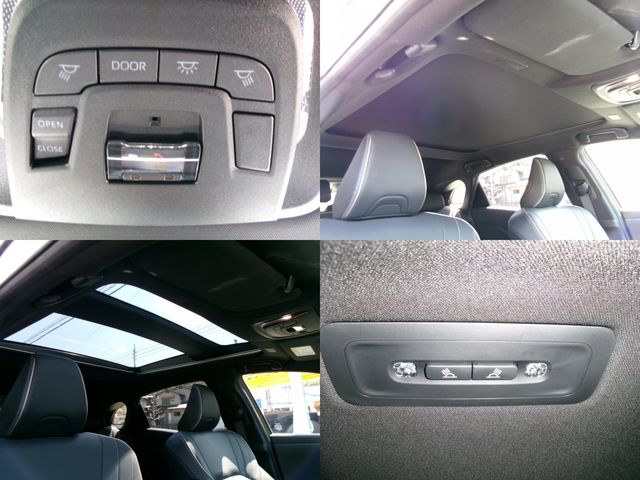 CROWN SPORT