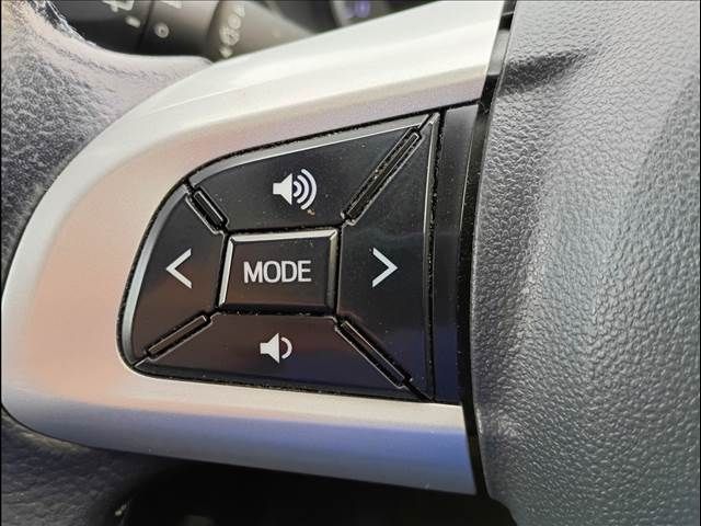 CAST ACTIVA 4WD