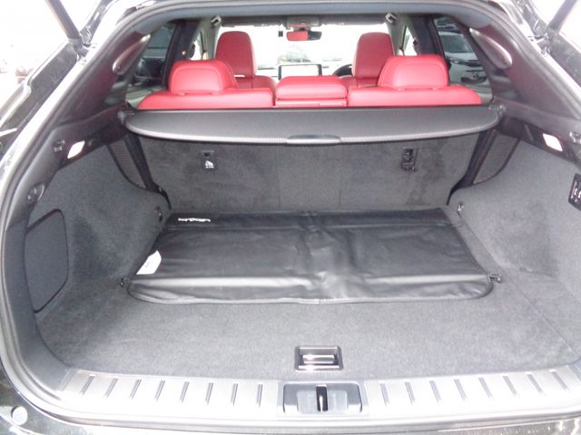 LEXUS RX450h AWD