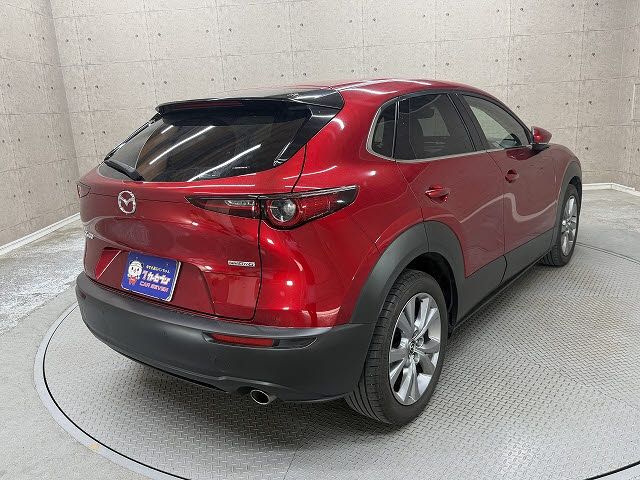 CX-30