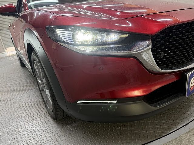 CX-30
