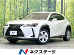 LEXUS UX250h