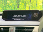 LEXUS UX250h