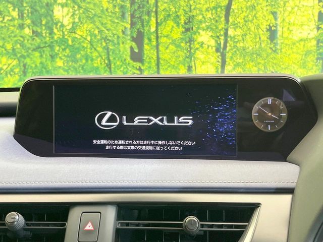 LEXUS UX250h