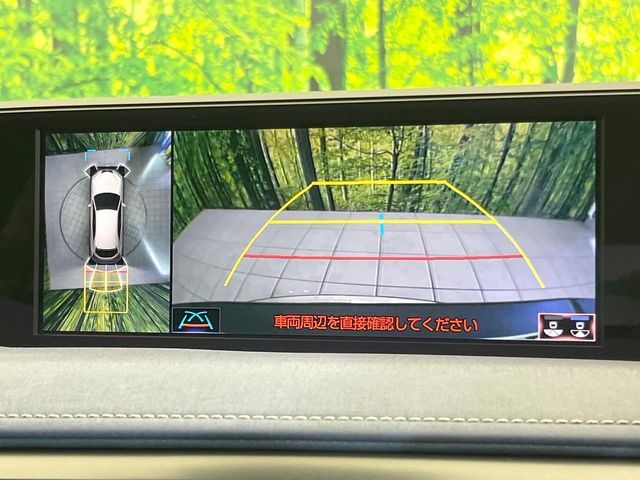 LEXUS UX250h