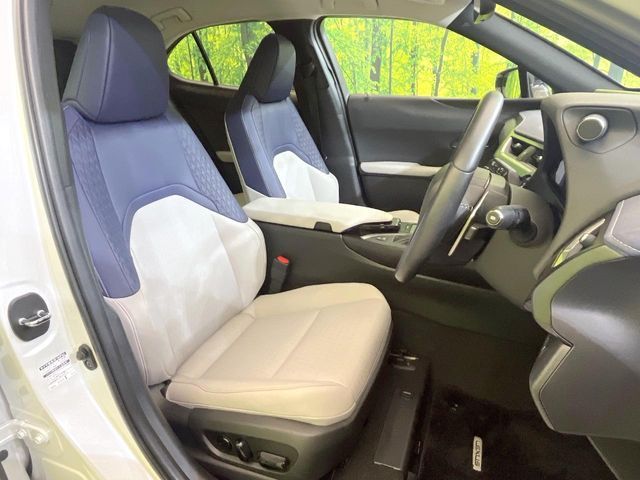 LEXUS UX250h
