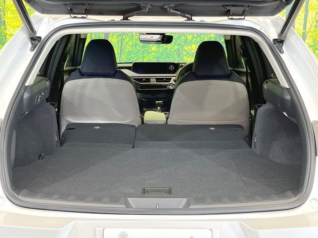 LEXUS UX250h