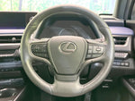 LEXUS UX250h