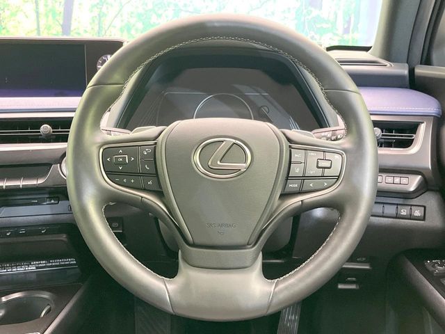 LEXUS UX250h