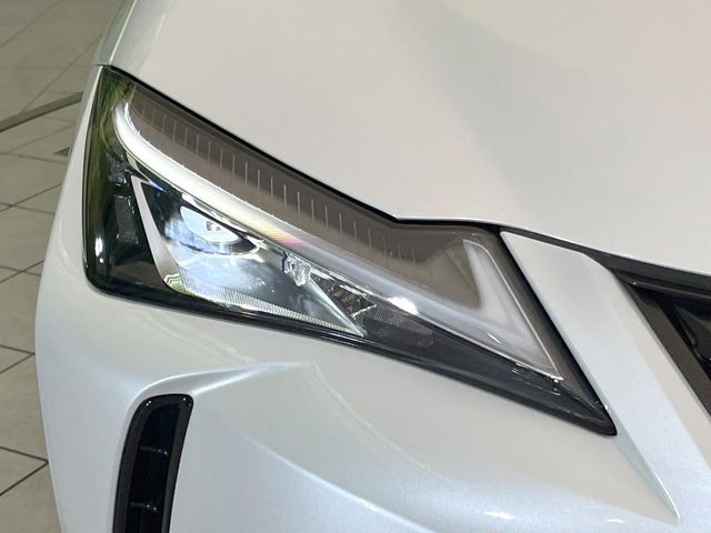 LEXUS UX250h